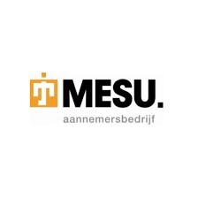 Joris Mesu