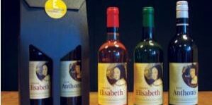 Wijn Elisabeth Weeshuis Wijn Elisabeth Weeshuis